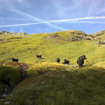 Σαλέ Almhutte Pichler Kasa Heiligenblut