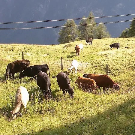Almhutte Pichler Kasa Heiligenblut
